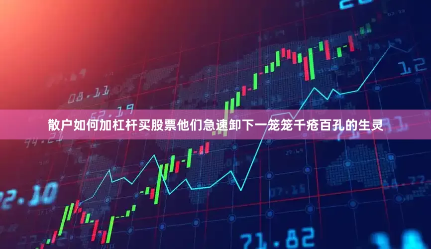 散户如何加杠杆买股票他们急速卸下一笼笼千疮百孔的生灵