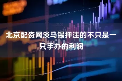 北京配资网淡马锡押注的不只是一只手办的利润