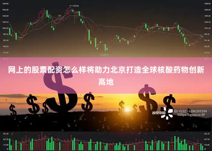 网上的股票配资怎么样将助力北京打造全球核酸药物创新高地